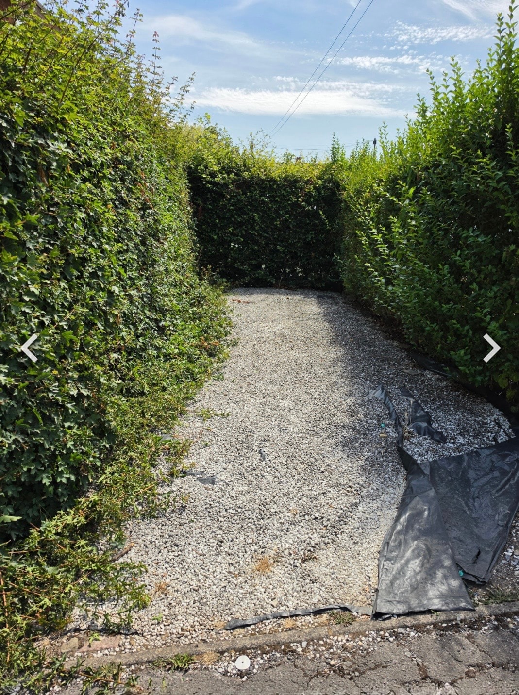 Overgrown hedges encroaching on gravel pathway before trimming
