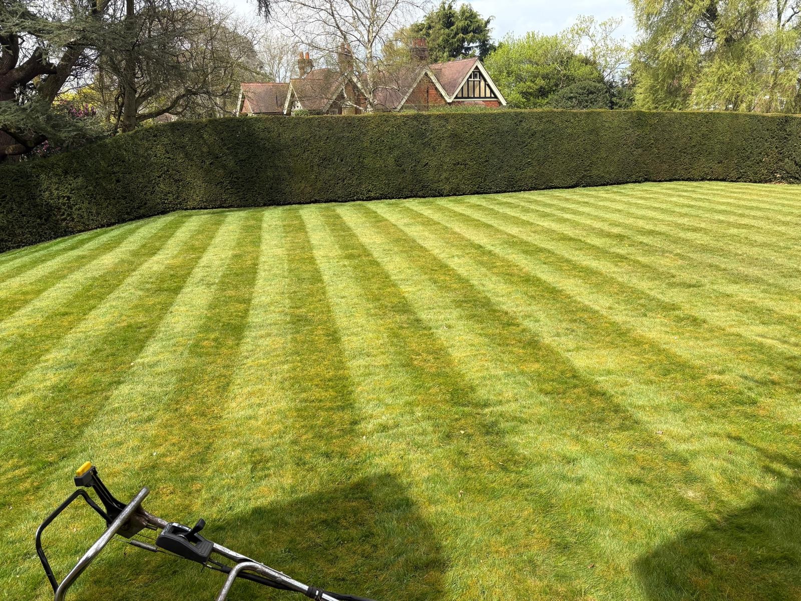 Neatly mowed striped lawn in a Somerset garden