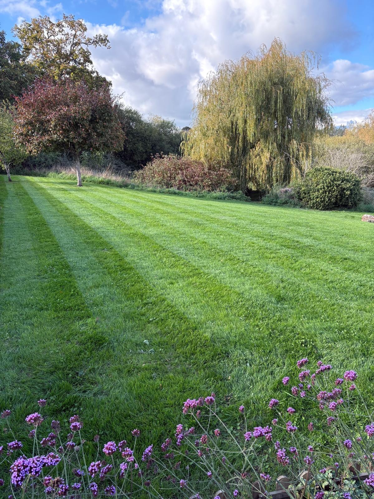Cleared and tidy garden border