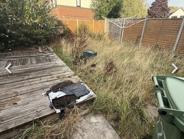Overgrown residential garden with rotting decking and long grass before clearance — photo 4