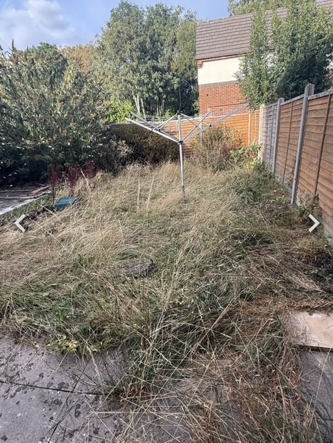 Overgrown residential garden with rotting decking and long grass before clearance — photo 1
